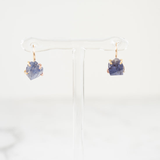 Variance Objects Iolite 14K Gold Hook Earrings